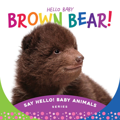 Book cover for Hello Baby Brown Bear!