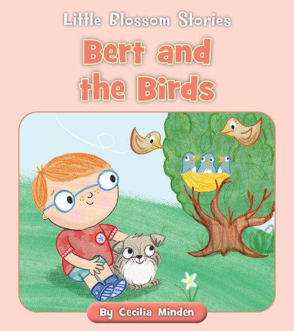 Book cover for Bert and the Birds