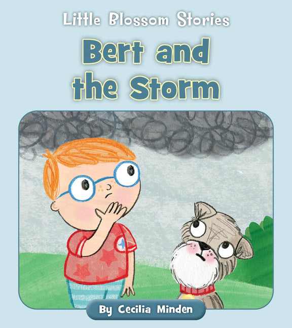 Book cover for Bert and the Storm