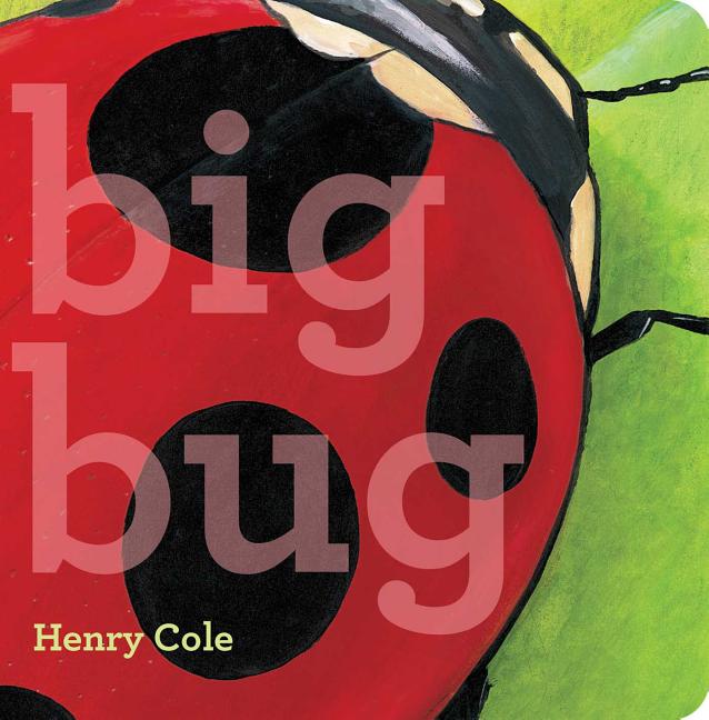 Book cover for Big Bug
