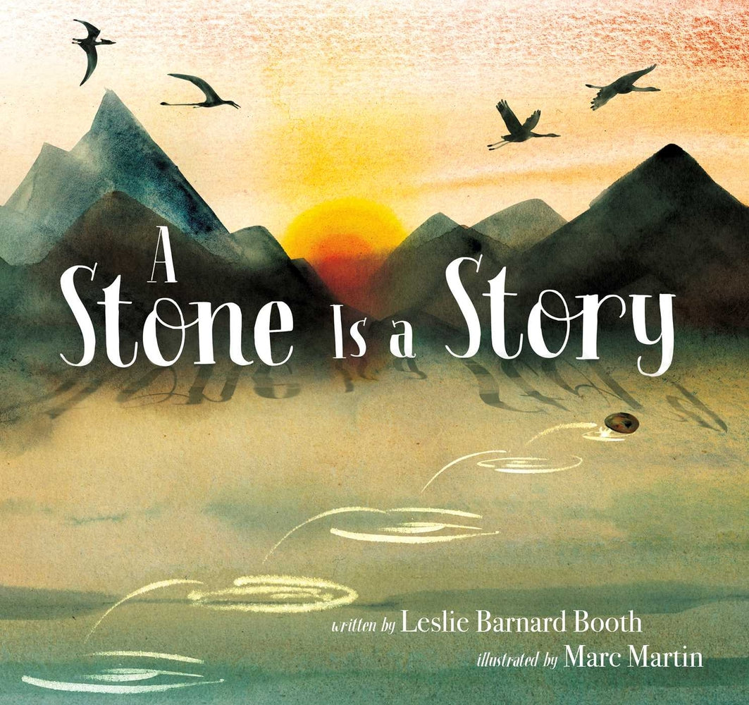 Book cover for A Stone Is a Story