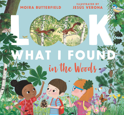 Book cover for Look What I Found in the Woods
