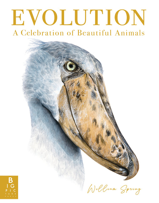 Book cover for Evolution: A Celebration of Beautiful Animals