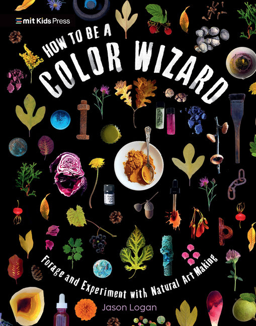 Book cover for How to Be a Color Wizard: Forage and Experiment with Natural Art Making