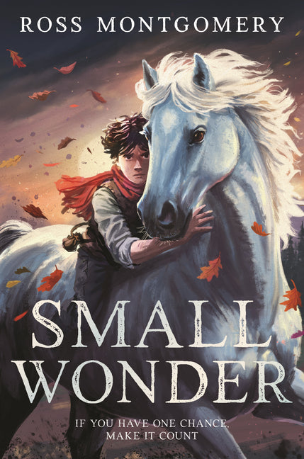 Book cover for Small Wonder