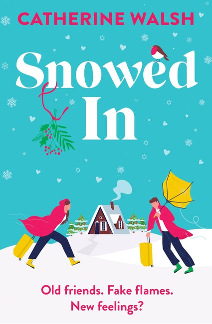 Book cover for Snowed in