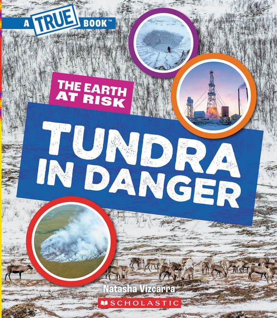 Book cover for Tundra in Danger (a True Book: The Earth at Risk)