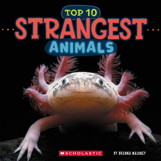 Book cover for Strangest Animals (Wild World: Top 10)