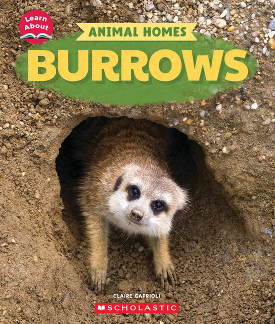Book cover for Burrows (Learn About: Animal Homes)
