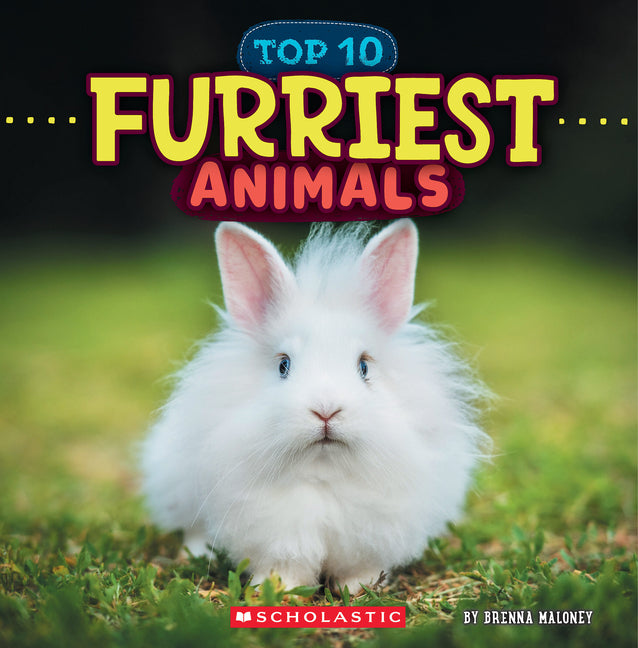 Book cover for Furriest Animals (Wild World: Top 10)