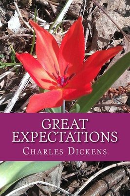 Book cover for Great Expectations