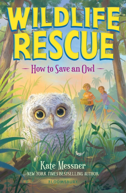 Book cover for How to Save an Owl