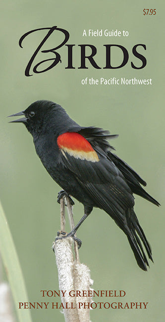 Book cover for Field Guide to Birds of the Pacific Northwest