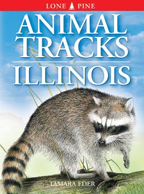 Book cover for Animal Tracks of Illinois