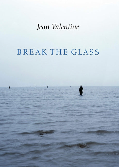 Book cover for Break the Glass
