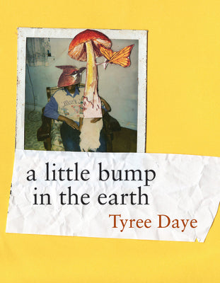 Book cover for A Little Bump in the Earth