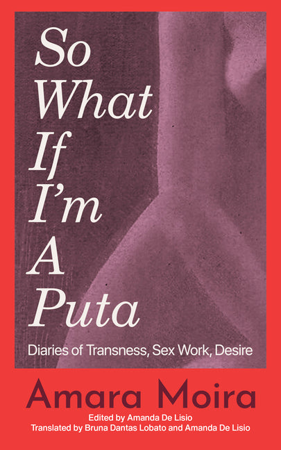 Book cover for So What If I'm a Puta: Diaries of Transness, Sex Work, Desire