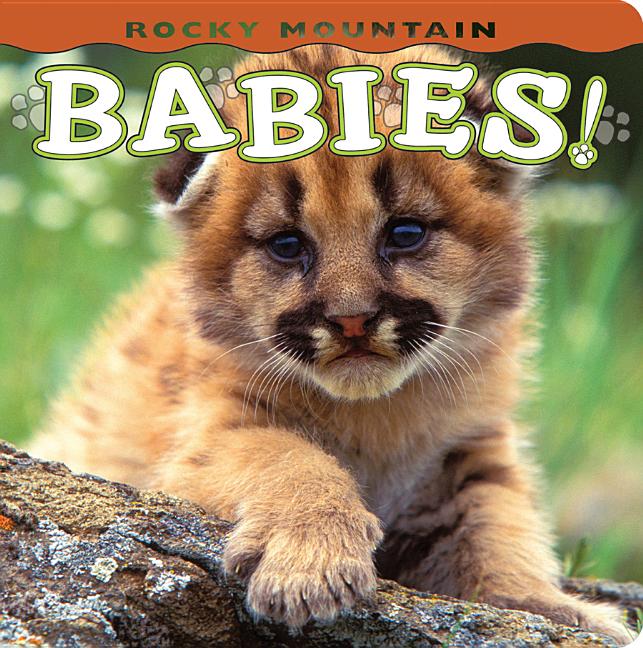 Book cover for Rocky Mountain Babies!
