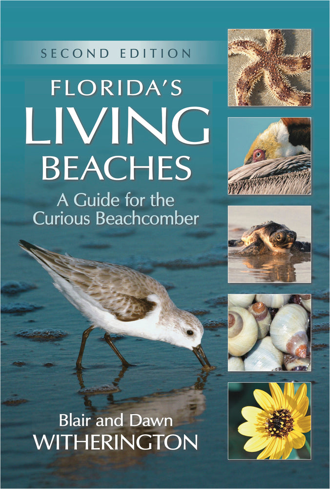 Book cover for Florida's Living Beaches: A Guide for the Curious Beachcomber
