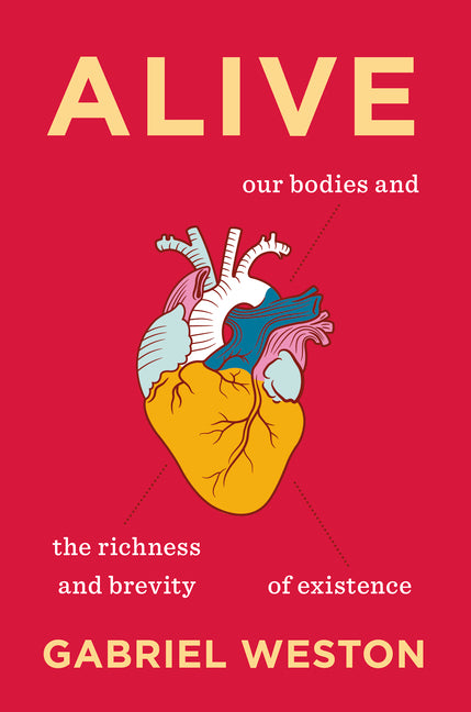 Book cover for Alive: Our Bodies and the Richness and Brevity of Existence