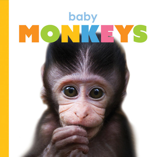 Book cover for Baby Monkeys