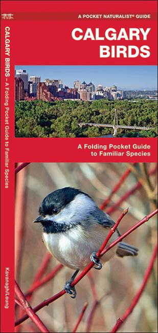 Book cover for Calgary Birds: A Folding Pocket Guide to Familiar Species