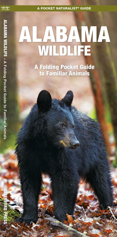 Book cover for Alabama Wildlife: A Folding Pocket Guide to Familiar Animals