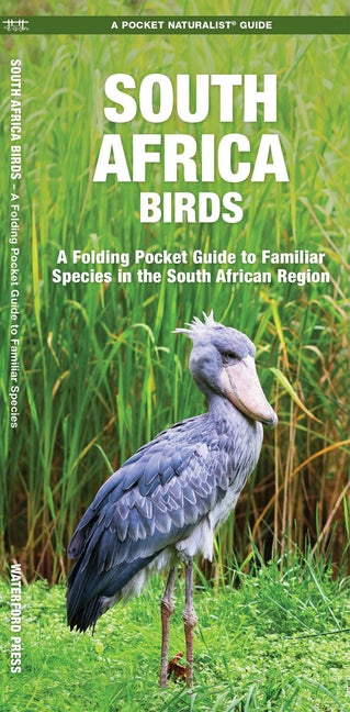 Book cover for South Africa Birds