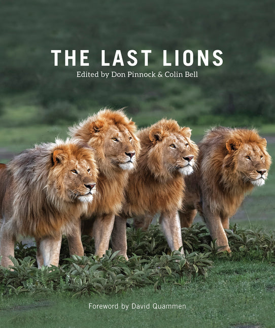 Book cover for Last Lions
