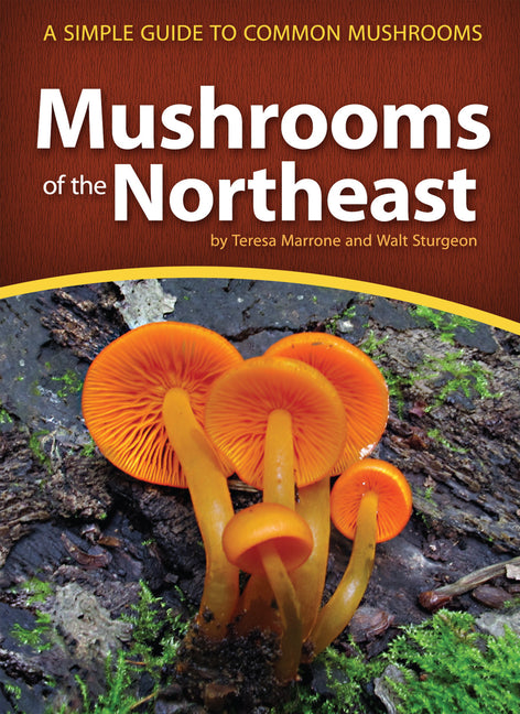 Book cover for Mushrooms of the Northeast: A Simple Guide to Common Mushrooms