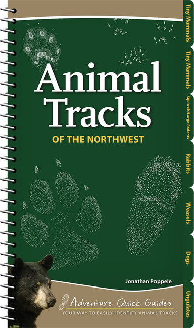 Book cover for Animal Tracks of the Northwest: Your Way to Easily Identify Animal Tracks