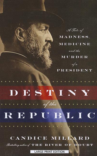 Book cover for Destiny of the Republic