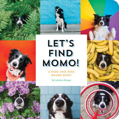 Book cover for Let's Find Momo!: A Hide-And-Seek Board Book