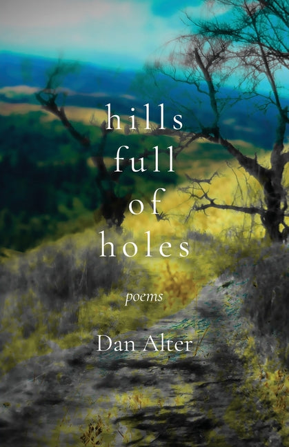 Book cover for Hills Full of Holes: Poems