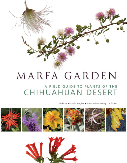 Book cover for Marfa Garden: A Field Guide to Plants of the Chihuahuan Desert