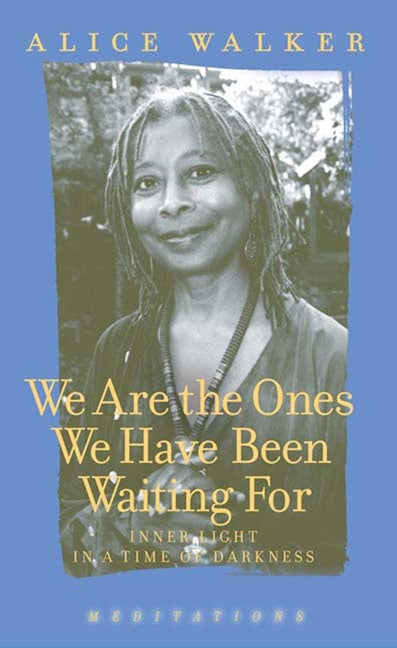 Book cover for We Are the Ones We Have Been Waiting for: Inner Light in a Time of Darkness