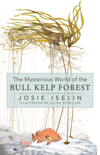 Book cover for Mysterious World of the Bull Kelp Forest