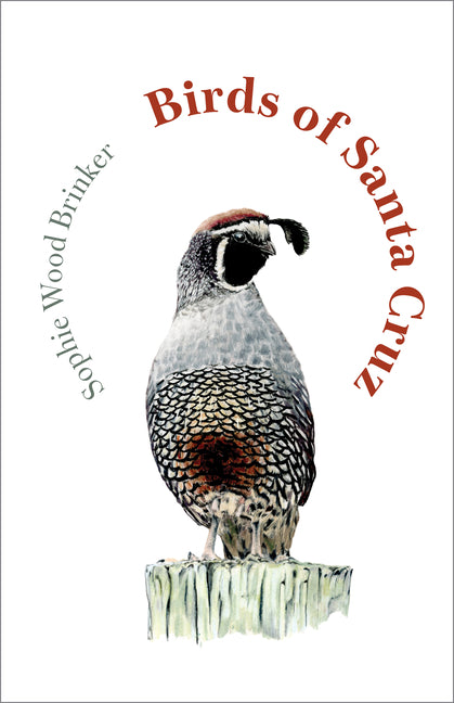 Book cover for Birds of Santa Cruz