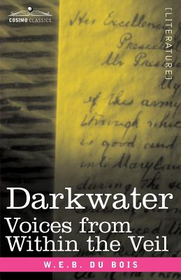 Book cover for Darkwater: Voices from Within the Veil