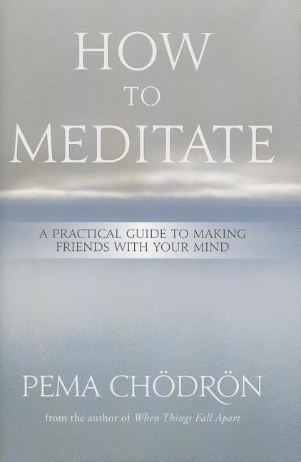 Book cover for How to Meditate: A Practical Guide to Making Friends with Your Mind