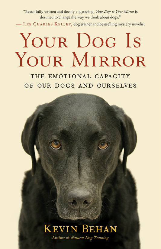 Book cover for Your Dog Is Your Mirror: The Emotional Capacity of Our Dogs and Ourselves