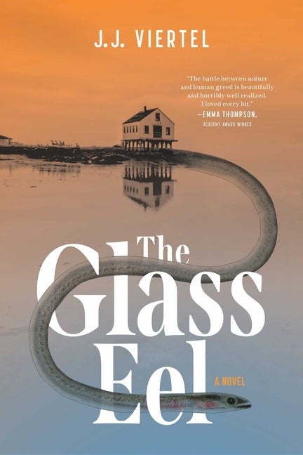 Book cover for Glass Eel