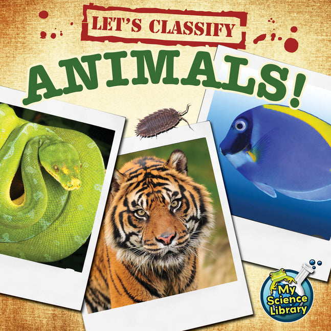 Book cover for Let's Classify Animals!