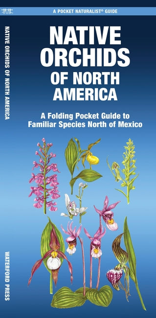 Book cover for Native Orchids of North America