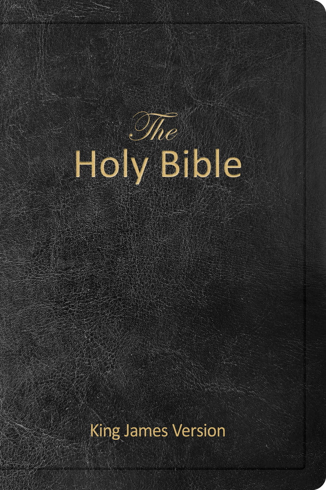 Book cover for The Holy Bible (Kjv), Holy Spirit Edition, Imitation Leather, Dedication Page, Prayer Section: King James Version