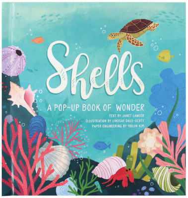 Book cover for Shells: A Pop-Up Book of Wonder