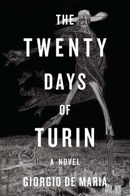 Book cover for The Twenty Days of Turin