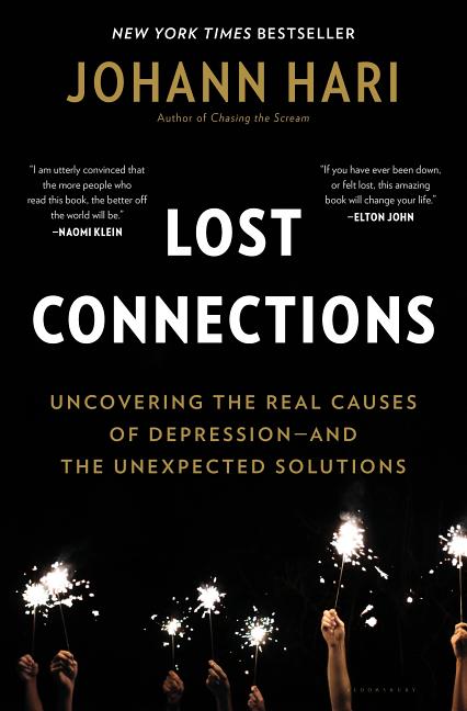 Book cover for Lost Connections