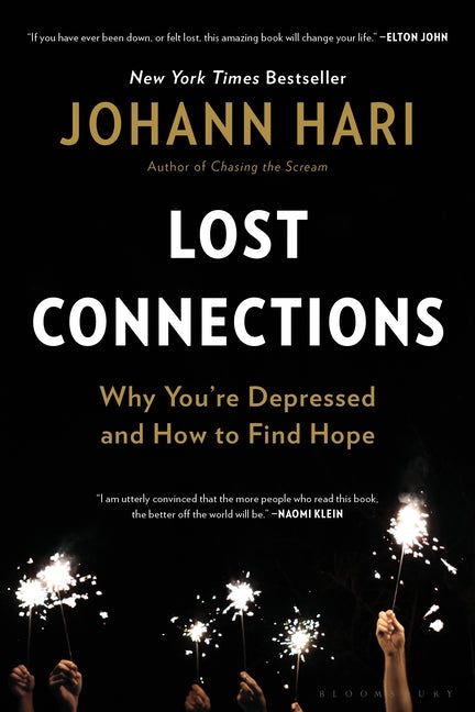 Book cover for Lost Connections