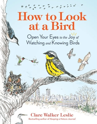 Book cover for How to Look at a Bird: Open Your Eyes to the Joy of Watching and Knowing Birds